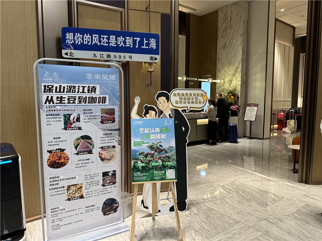 艺龙酒店科技启动云南咖啡推广计划以产业融合谱写乡村振兴新篇章(图6)