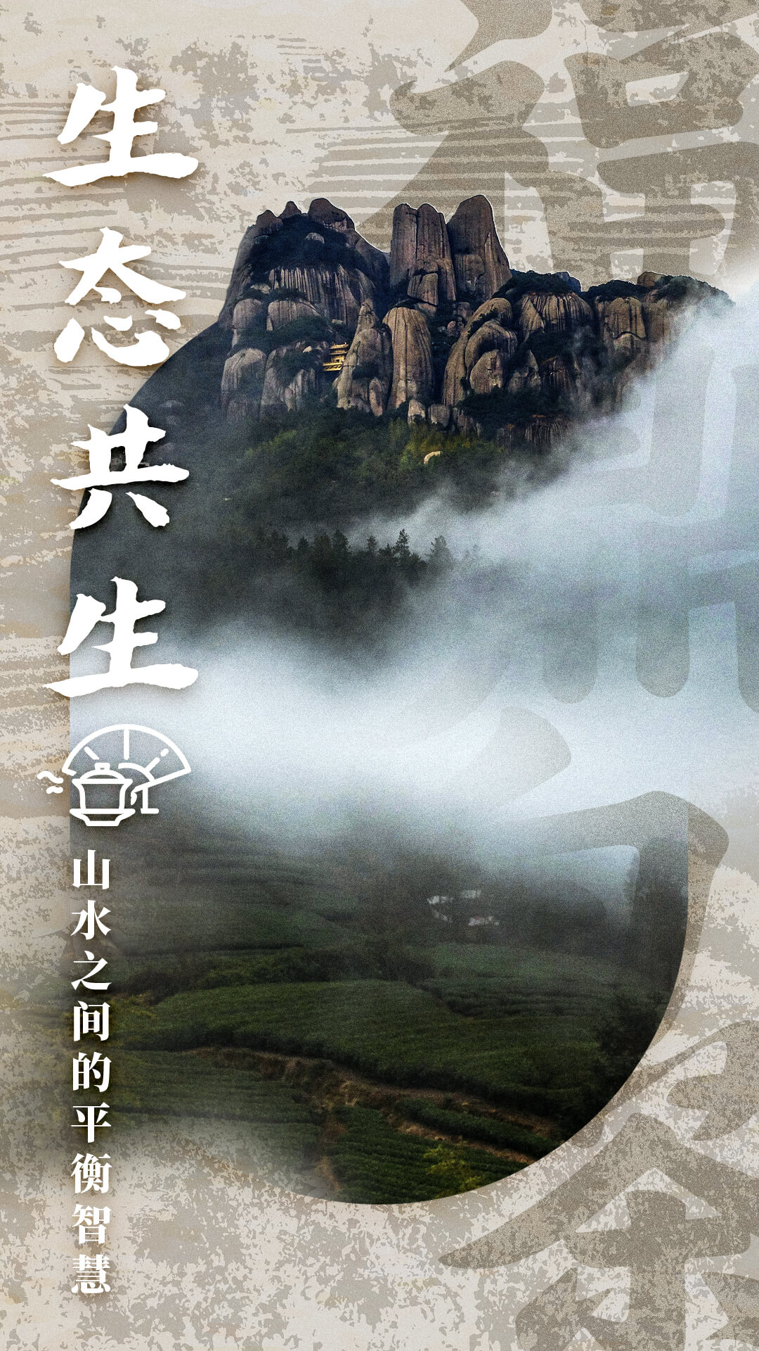 PG电子网站农遗故事福鼎白茶：千年茶香如何续写未来？(图2)