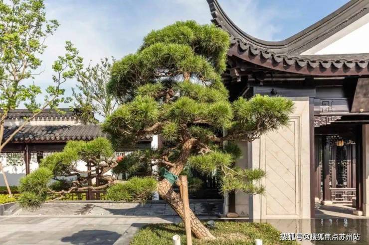 PG电子平台璟云里-售楼处首页-璟云里-售楼处电话-开盘时间-房价-户型-楼盘详情-周边环境-户型-价格-地址-楼盘详情电话-交房时间(图15)