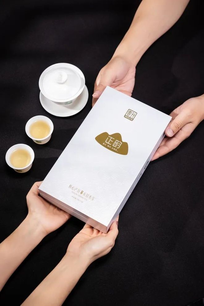 专业采购指南｜第21届重庆春季茶博会优选展商之永川秀芽展团篇(图5)