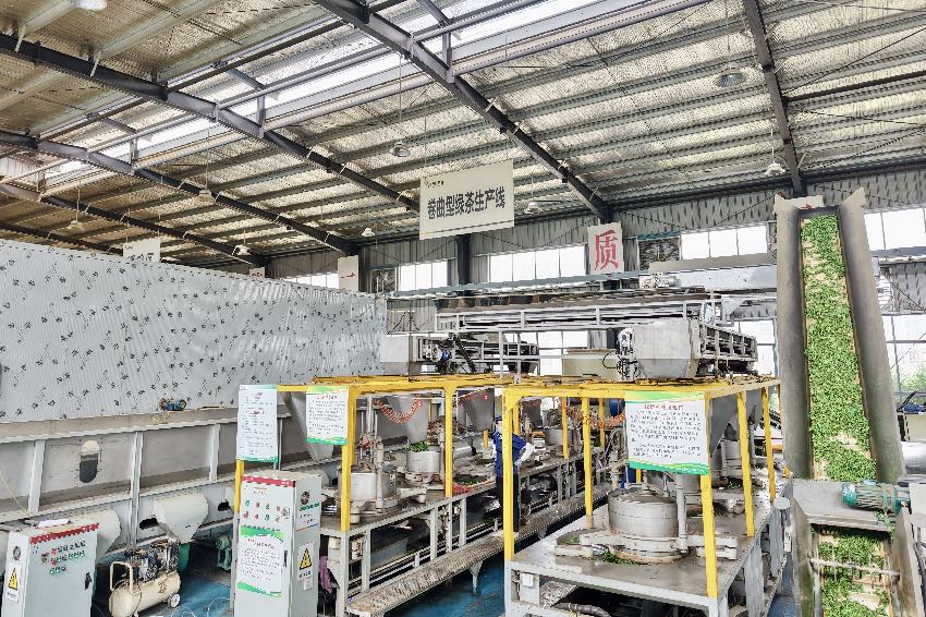 PG平台会里会外｜C位亮相茶博会新茶饮为川茶添活力(图4)