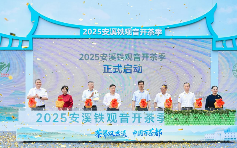 2025安溪铁观音开茶季盛大启幕茶界双世遗开启产业新篇章(图1)