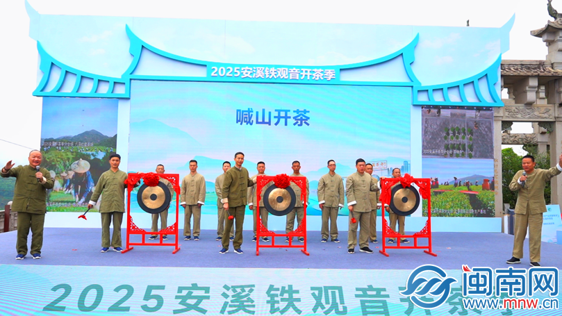 2025安溪铁观音开茶季盛大启幕茶界双世遗开启产业新篇章(图2)