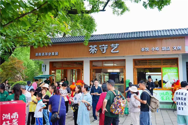 从一片叶子品湖南省茶业集团“茶道”(图5)