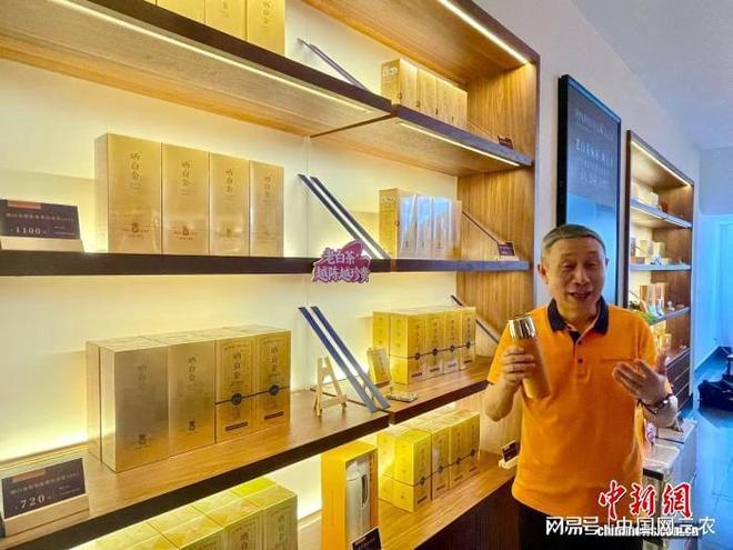 品一味甘醇从这杯福鼎白茶开始(图2)