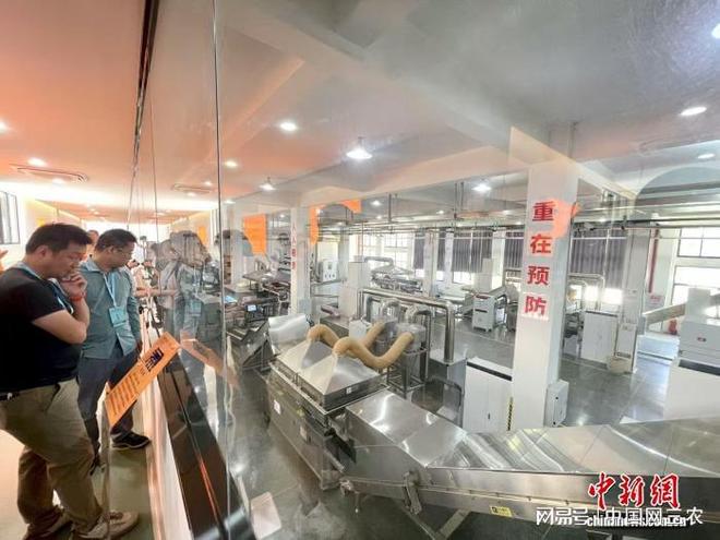 品一味甘醇从这杯福鼎白茶开始(图1)