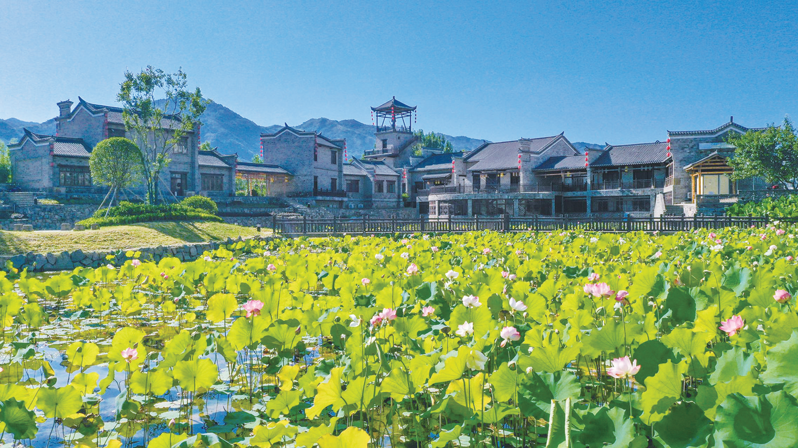 七夕盛宴引八方客来郧西天河岸畔绘浪漫(图3)