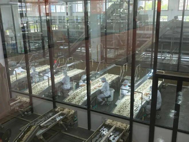 PG平台单场直播狂卖500万元！它靠什么把年轻人拿捏了？(图2)