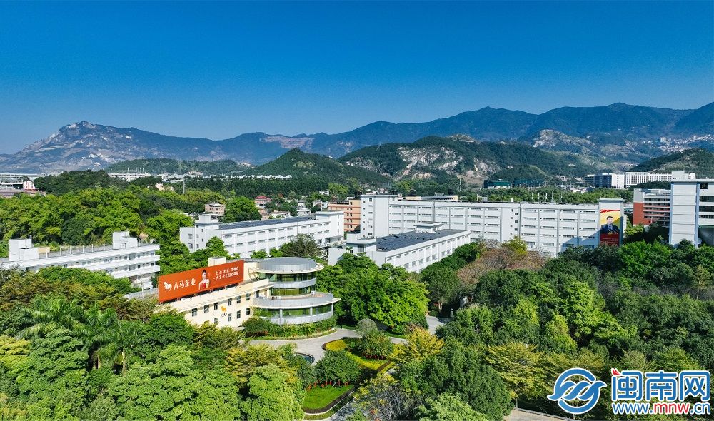 泉州产业蝶变密码丨当AI融入茶香茶产业焕新出发(图1)