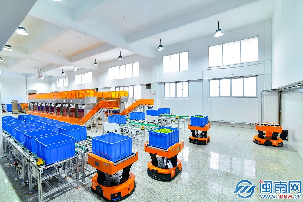 泉州产业蝶变密码丨当AI融入茶香茶产业焕新出发(图3)