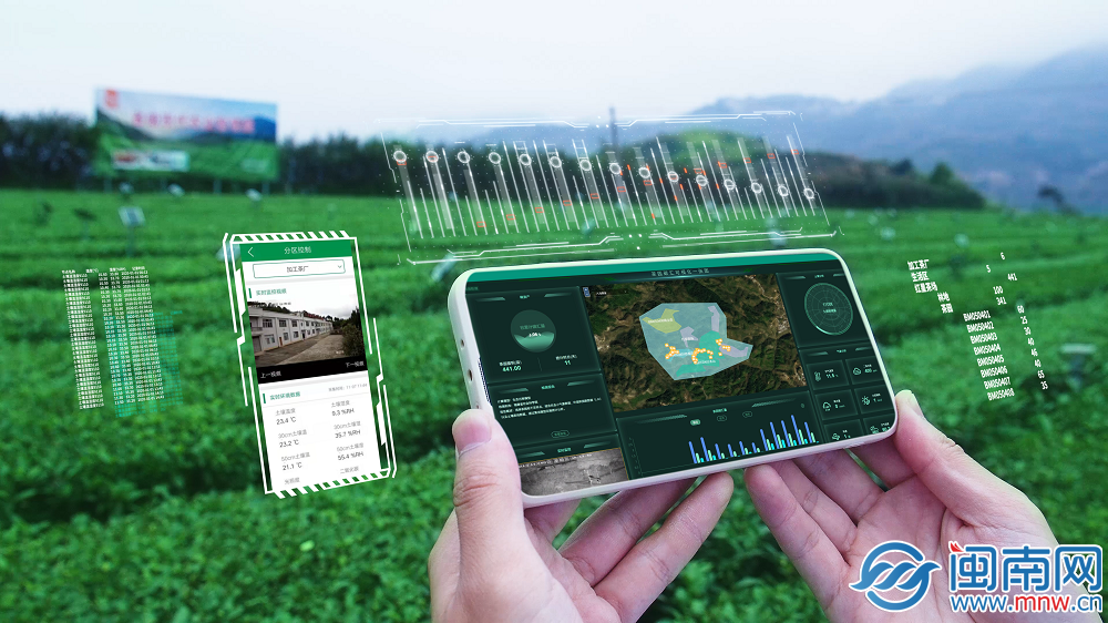 泉州产业蝶变密码丨当AI融入茶香茶产业焕新出发(图6)