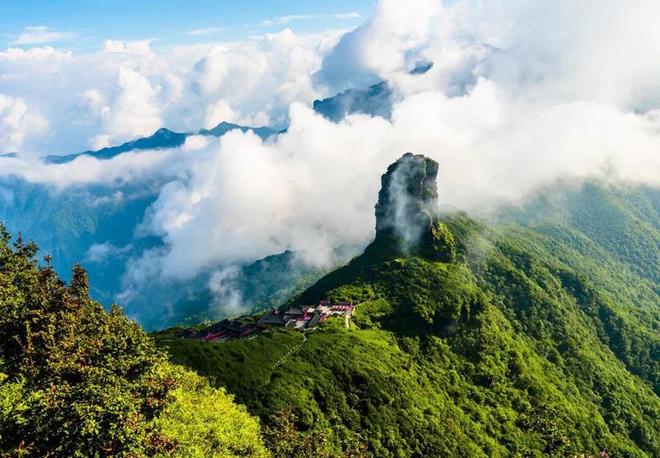 茶韵悠长贵州铜仁奏响产业高质量发展强音(图1)