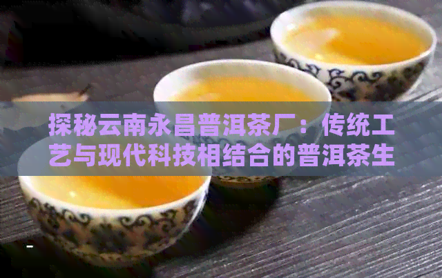 探秘云南永昌普洱茶厂：传统工艺与现代科技相结合的普洱茶生产基地(图1)