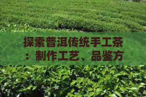 探索普洱传统手工茶：制作工艺、品鉴方法与健康益处全解析(图1)