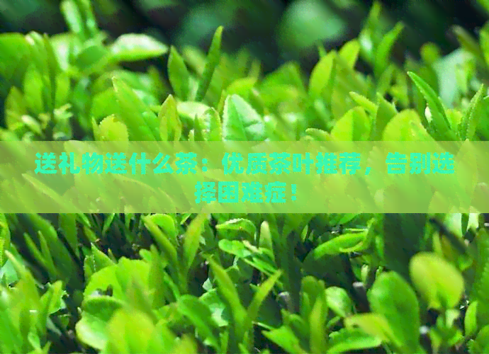 送礼物送什么茶：优质茶叶推荐告别选择困难症！(图1)