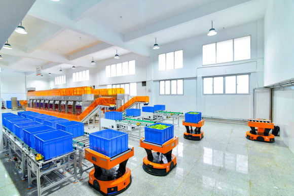 八马茶业深耕数智化转型让三百年制茶技艺与科技深度融合(图1)