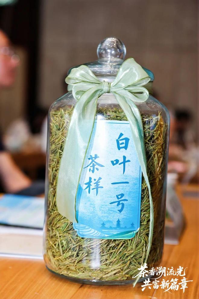 “白叶一号”的返程车票!贵州用满园茶香回应浙江昔日情谊(图1)