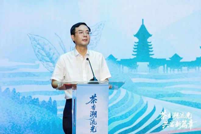 “白叶一号”的返程车票!贵州用满园茶香回应浙江昔日情谊(图5)