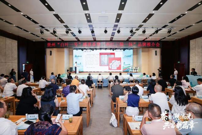 “白叶一号”的返程车票!贵州用满园茶香回应浙江昔日情谊(图2)