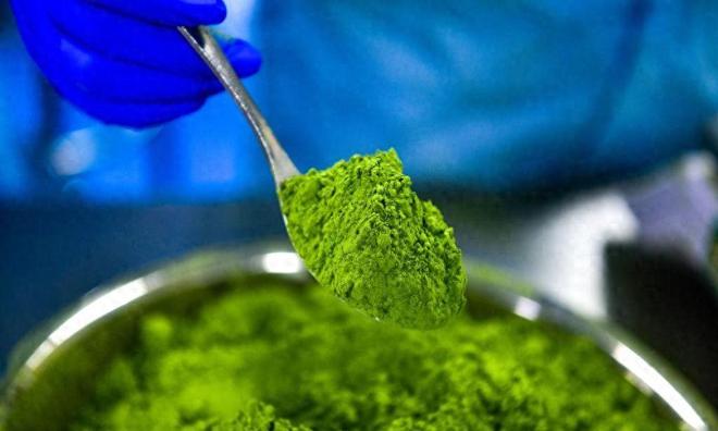 贵州小县城一恼火抹茶快没日本什么事了成为世界抹茶超级工厂(图1)