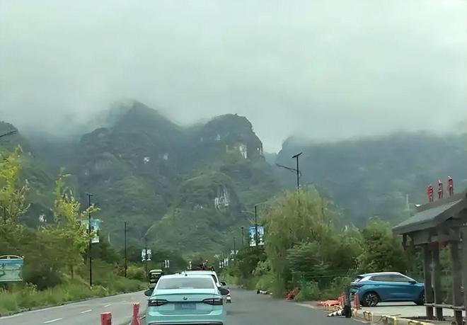 贵州小县城一恼火抹茶快没日本什么事了成为世界抹茶超级工厂(图7)