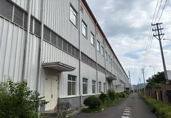 贵州小县城一恼火抹茶快没日本什么事了成为世界抹茶超级工厂(图8)