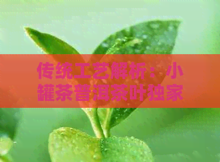 传统工艺解析：小罐茶普洱茶叶独家炮制秘诀(图1)