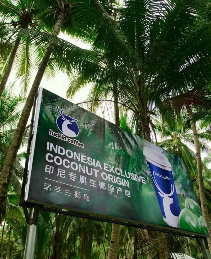 从印尼椰岛到横州茉莉园区：解码瑞幸的“原产地集群”战略(图4)