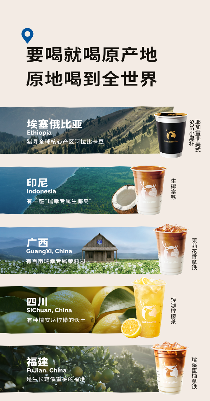 从印尼椰岛到横州茉莉园区：解码瑞幸的“原产地集群”战略(图2)
