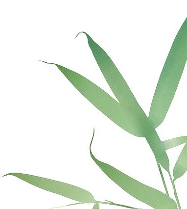 PG电子平台【国工优品点评】第七十期恩施玉露(图1)