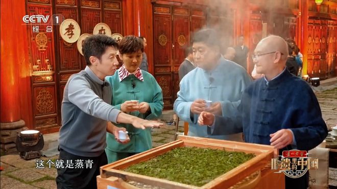 PG电子平台【国工优品点评】第七十期恩施玉露(图2)