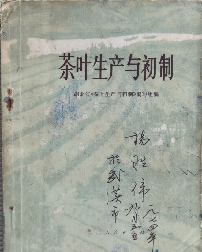 PG电子平台【国工优品点评】第七十期恩施玉露(图8)
