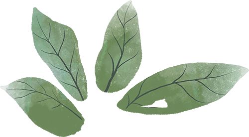 PG电子平台【国工优品点评】第七十期恩施玉露(图13)