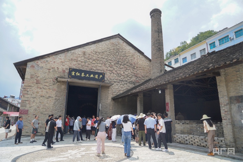 PG平台活力中国调研行｜从“卖茶叶”到“卖体验”一片绿叶的增值之道(图6)