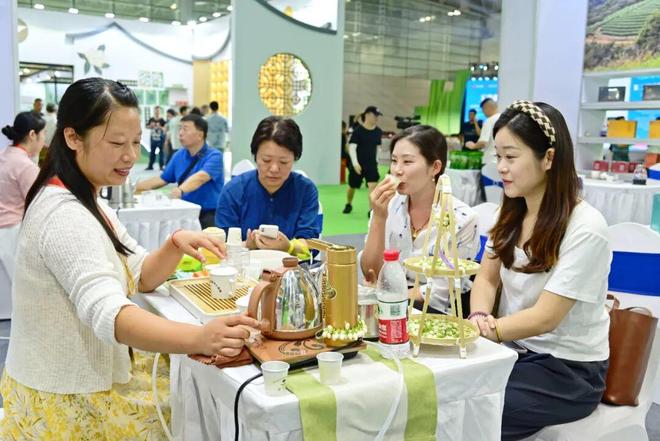 PG电子平台品茶王茶交会必逛！尝橄榄把闽侯茉莉香带回家(图3)