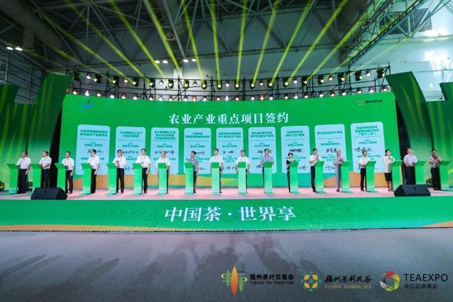 PG电子平台品茶王茶交会必逛！尝橄榄把闽侯茉莉香带回家(图7)