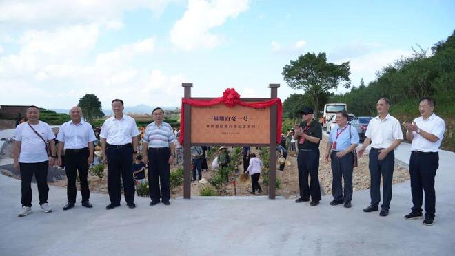 “双遗白茶·美好世界”宣传推广活动启动(图9)