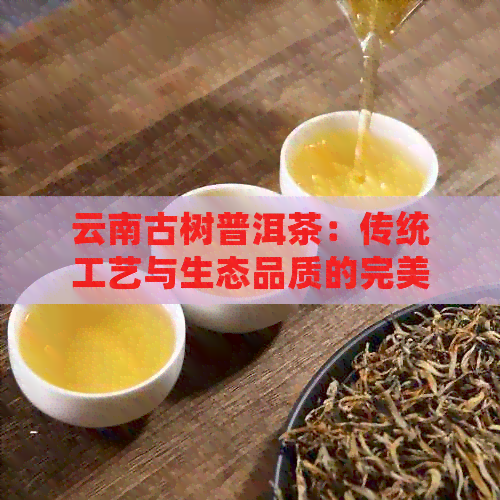 PG电子网站云南古树普洱茶:传统工艺与生态品质的完美结合(图1)