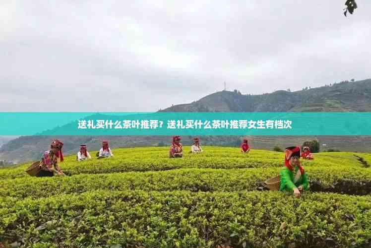 PG平台送礼买什么茶叶好(图3)