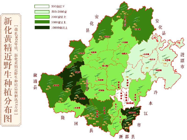 PG电子平台筑梦“湘”村｜新化黄精：山林间的“黄金产业”如何成就30亿元产值(图3)