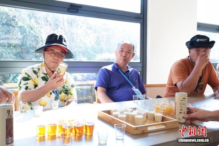 一片茶叶富了一个村海外华媒探访“坦洋工夫”红茶发源地(图2)