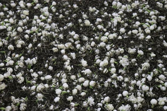 PG电子网站匠心筑梦谱新篇!新一代福州茉莉花茶传统工艺传承大师即将诞生(图9)