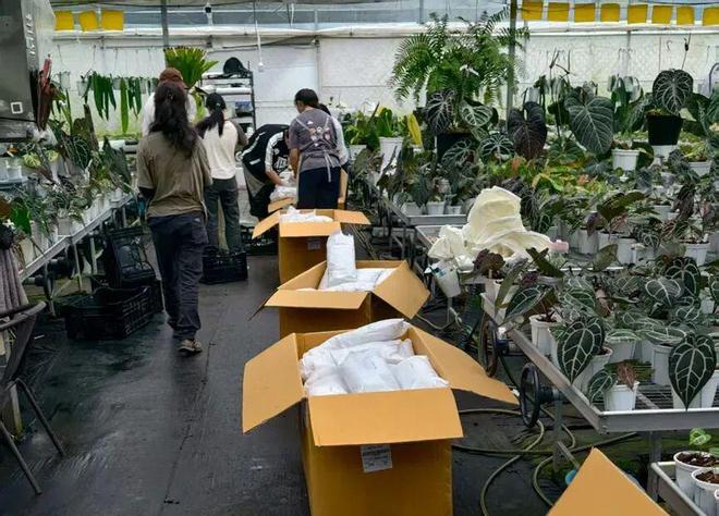 “叫卖式直播”的转变：他们不卷价格卷价值(图10)