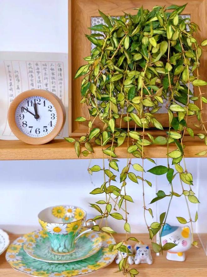 “叫卖式直播”的转变：他们不卷价格卷价值(图9)