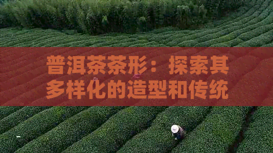 PG平台普洱茶茶形：探索其多样化的造型和传统工艺(图1)