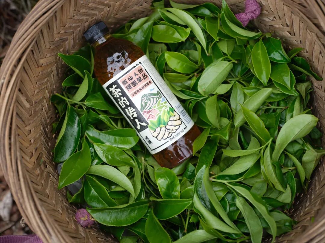 上市即售罄茶的传人这款爆品藏着无糖茶的破局密码(图6)