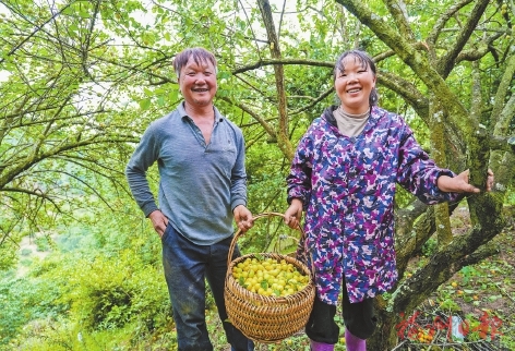 PG电子平台永泰：青山叠翠绘新卷产业勃发向未来(图1)