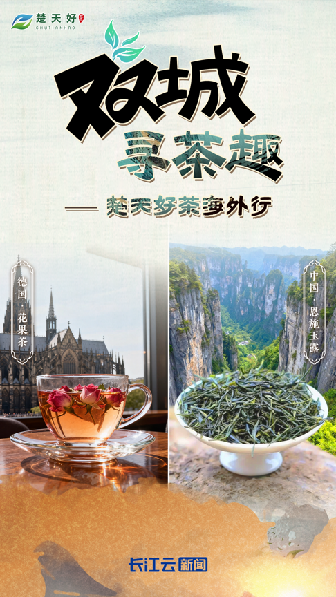 双城寻茶趣丨楚天好茶莱茵河花果香这杯“顶配”等你pick(图1)