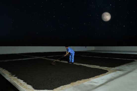 PG电子平台月满华诞茶香情浓:一盏祁门安茶里的家国团圆(图4)