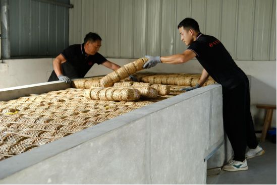 PG电子平台月满华诞茶香情浓:一盏祁门安茶里的家国团圆(图8)